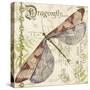 JP3431-Dragonfly Daydreams-Jean Plout-Stretched Canvas