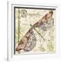 JP3431-Dragonfly Daydreams-Jean Plout-Framed Giclee Print