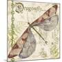 JP3431-Dragonfly Daydreams-Jean Plout-Mounted Giclee Print