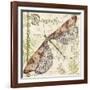 JP3431-Dragonfly Daydreams-Jean Plout-Framed Giclee Print