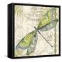 JP3432-Dragonfly Daydreams-Jean Plout-Framed Stretched Canvas