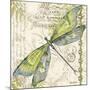 JP3432-Dragonfly Daydreams-Jean Plout-Mounted Giclee Print