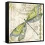 JP3432-Dragonfly Daydreams-Jean Plout-Framed Stretched Canvas