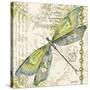 JP3432-Dragonfly Daydreams-Jean Plout-Stretched Canvas