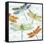 JP3434-Dragonfly Bliss-Jean Plout-Framed Stretched Canvas