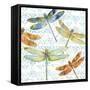 JP3434-Dragonfly Bliss-Jean Plout-Framed Stretched Canvas