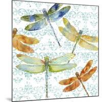 JP3434-Dragonfly Bliss-Jean Plout-Mounted Giclee Print