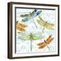 JP3434-Dragonfly Bliss-Jean Plout-Framed Giclee Print