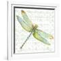 JP3436-Dragonfly Bliss-Jean Plout-Framed Giclee Print