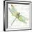 JP3436-Dragonfly Bliss-Jean Plout-Framed Giclee Print