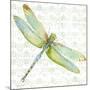 JP3436-Dragonfly Bliss-Jean Plout-Mounted Giclee Print