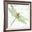 JP3436-Dragonfly Bliss-Jean Plout-Framed Giclee Print