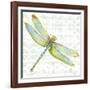 JP3436-Dragonfly Bliss-Jean Plout-Framed Giclee Print