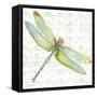 JP3436-Dragonfly Bliss-Jean Plout-Framed Stretched Canvas