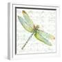 JP3436-Dragonfly Bliss-Jean Plout-Framed Giclee Print