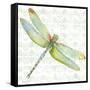 JP3436-Dragonfly Bliss-Jean Plout-Framed Stretched Canvas