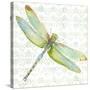 JP3436-Dragonfly Bliss-Jean Plout-Stretched Canvas