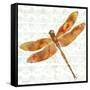 JP3437-Dragonfly Bliss-Jean Plout-Framed Stretched Canvas