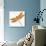 JP3437-Dragonfly Bliss-Jean Plout-Stretched Canvas displayed on a wall