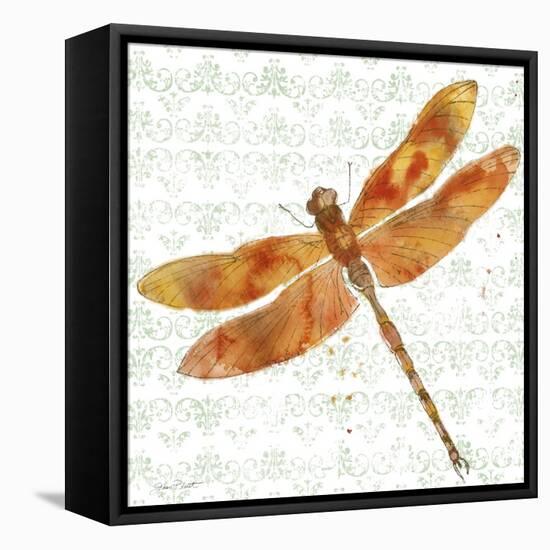 JP3437-Dragonfly Bliss-Jean Plout-Framed Stretched Canvas