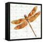 JP3437-Dragonfly Bliss-Jean Plout-Framed Stretched Canvas
