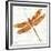 JP3437-Dragonfly Bliss-Jean Plout-Framed Giclee Print