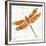 JP3437-Dragonfly Bliss-Jean Plout-Framed Giclee Print