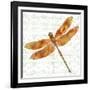 JP3437-Dragonfly Bliss-Jean Plout-Framed Giclee Print