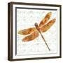 JP3437-Dragonfly Bliss-Jean Plout-Framed Giclee Print