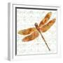 JP3437-Dragonfly Bliss-Jean Plout-Framed Giclee Print