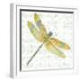 JP3438-Dragonfly Bliss-Jean Plout-Framed Giclee Print