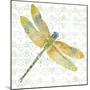 JP3438-Dragonfly Bliss-Jean Plout-Mounted Giclee Print