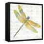 JP3438-Dragonfly Bliss-Jean Plout-Framed Stretched Canvas