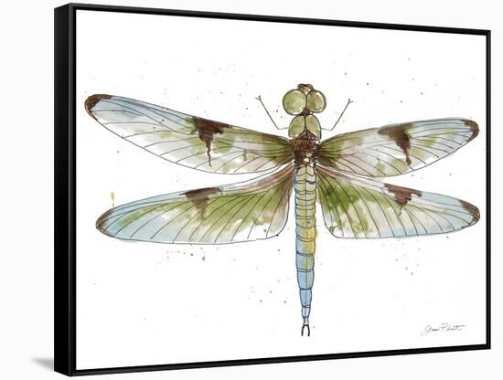 JP3440-Dragonfly Bliss-Jean Plout-Framed Stretched Canvas