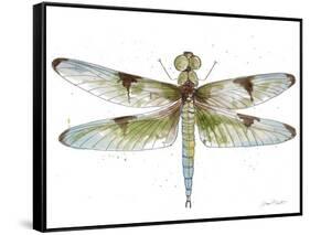 JP3440-Dragonfly Bliss-Jean Plout-Framed Stretched Canvas