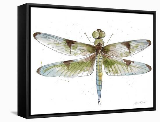 JP3440-Dragonfly Bliss-Jean Plout-Framed Stretched Canvas