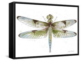 JP3440-Dragonfly Bliss-Jean Plout-Framed Stretched Canvas