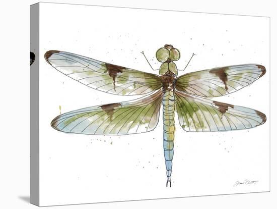 JP3440-Dragonfly Bliss-Jean Plout-Stretched Canvas