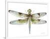 JP3440-Dragonfly Bliss-Jean Plout-Framed Giclee Print