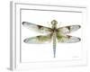 JP3440-Dragonfly Bliss-Jean Plout-Framed Giclee Print