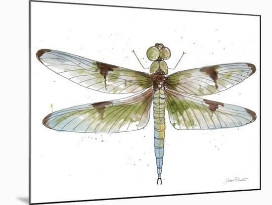 JP3440-Dragonfly Bliss-Jean Plout-Mounted Giclee Print