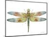 JP3441-Dragonfly Bliss-Jean Plout-Mounted Giclee Print