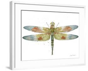 JP3441-Dragonfly Bliss-Jean Plout-Framed Giclee Print