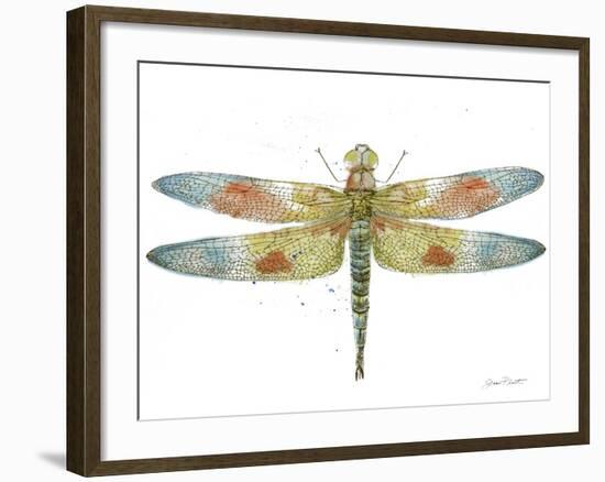 JP3441-Dragonfly Bliss-Jean Plout-Framed Giclee Print