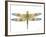 JP3441-Dragonfly Bliss-Jean Plout-Framed Giclee Print