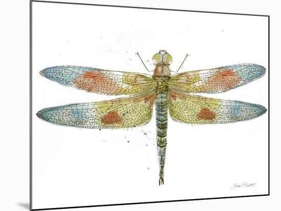 JP3441-Dragonfly Bliss-Jean Plout-Mounted Giclee Print