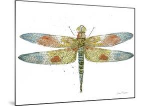 JP3441-Dragonfly Bliss-Jean Plout-Mounted Giclee Print