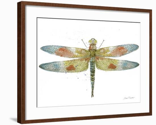 JP3441-Dragonfly Bliss-Jean Plout-Framed Giclee Print