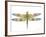 JP3441-Dragonfly Bliss-Jean Plout-Framed Giclee Print