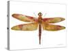 JP3442-Dragonfly Bliss-Jean Plout-Stretched Canvas